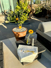 Load image into Gallery viewer, Velocitas et Fortuna Silk Scarf